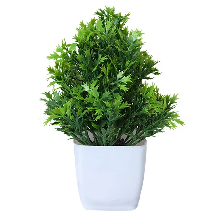 Artificial plant Product Photoshoot